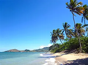 Plage de sable clair bordée de palmiers le long d’une côte tropicale