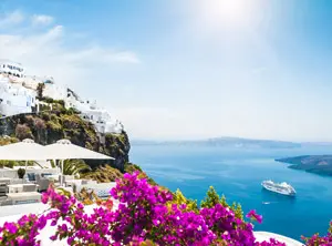 Maisons blanches de Santorin dominant la mer avec bougainvilliers roses au premier plan
