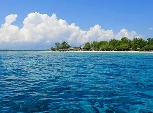 Mer bleu intense au premier plan avec une côte tropicale bordée de palmiers