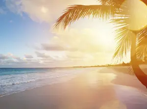 Plage avec palmiers et coucher de soleil au-dessus de la mer