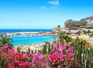 Plage de Gran Canaria avec des fleurs roses et des cactus au premier plan, une baie turquoise et des hôtels en bord de mer sous un ciel bleu ensoleillé.