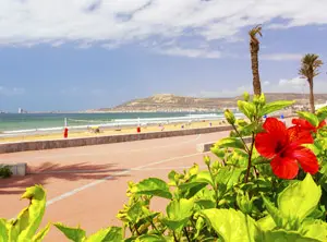Promenade d’Agadir avec fleur rouge au premier plan, plage de sable et Atlantique