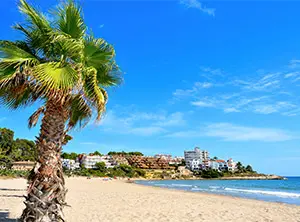 Palmier sur une plage de sable de la Costa Dorada avec mer calme et bâtiments au bord de l’eau sous un ciel bleu