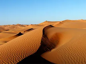 Sanddünen in der Wüste der Vereinigten Arabischen Emiraten unter blauem Himmel.