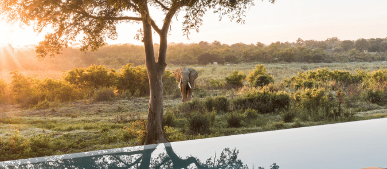 Kruger Gate Hotel
