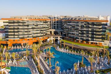 Calyptus Kirman Premium