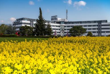 Everness Hotel & Resort