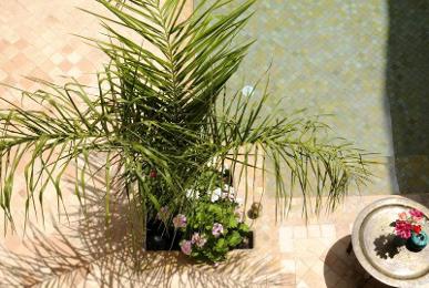 Riad Les Hibiscus