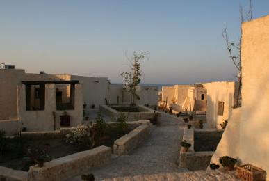 The Oasis