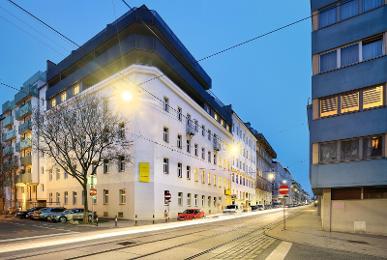 Jimmy's Apartments Dandelion