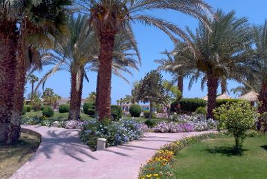 Lotus Bay Beach Resort