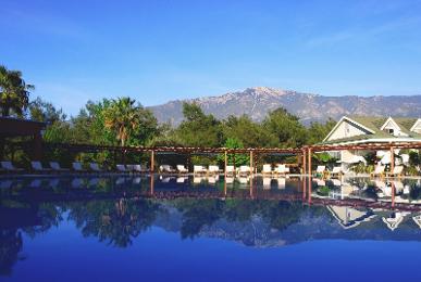 Green Forest Holiday Village