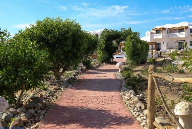 Beach Safari - Nubian Resort Marsa Alam