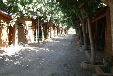 Camping Playa Y Fiesta