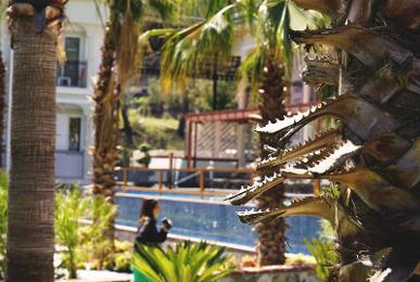 Green Forest Holiday Village