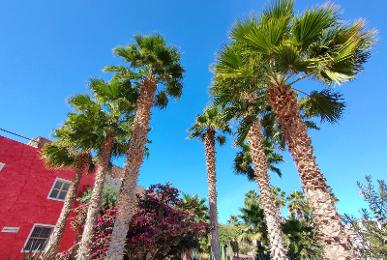 Hotel Estoril & Apartments