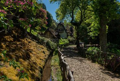 Rundreise Wandern: ASI - Madeira der Levada Trek individuell