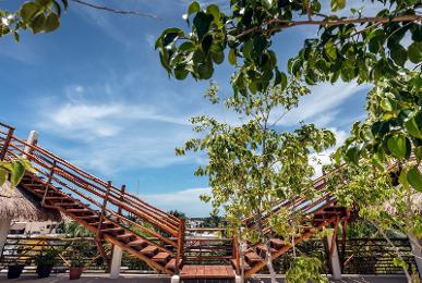 La Palma Holbox