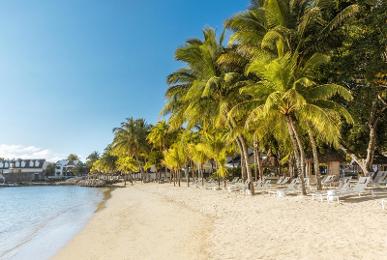 The Ravenala Attitude