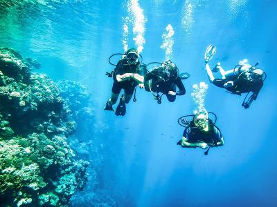 TUI MAGIC LIFE Redsina Sharm el Sheikh