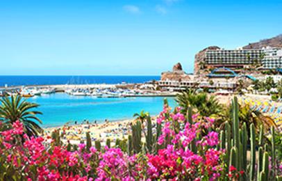 Dernière minute Canaries (Espagne)