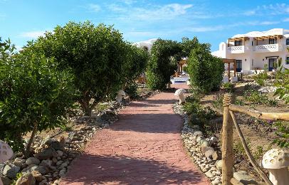 Beach Safari - Nubian Resort Marsa Alam
