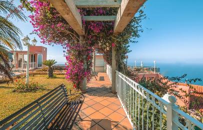 Ocean Gardens