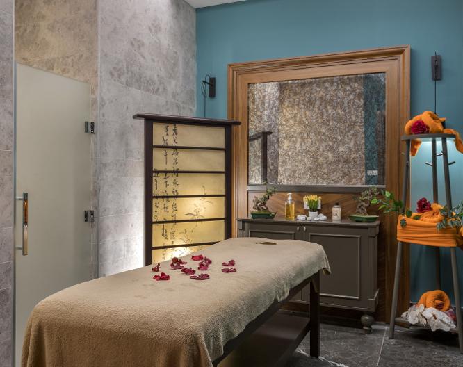 Seashell Vega - Autre