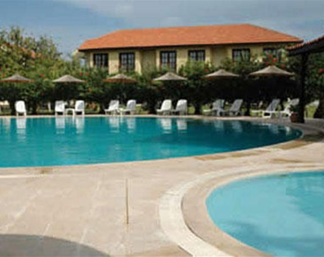 Hotel Palme - Pool