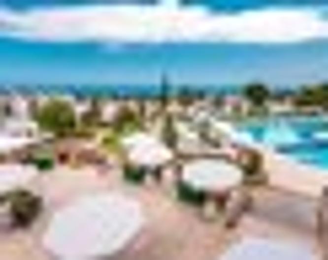 Olive Tree Hotel - Sonstiges