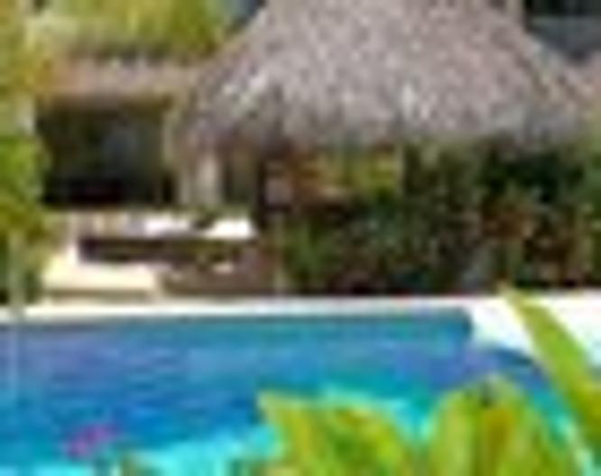 Zel Punta Cana - Pool