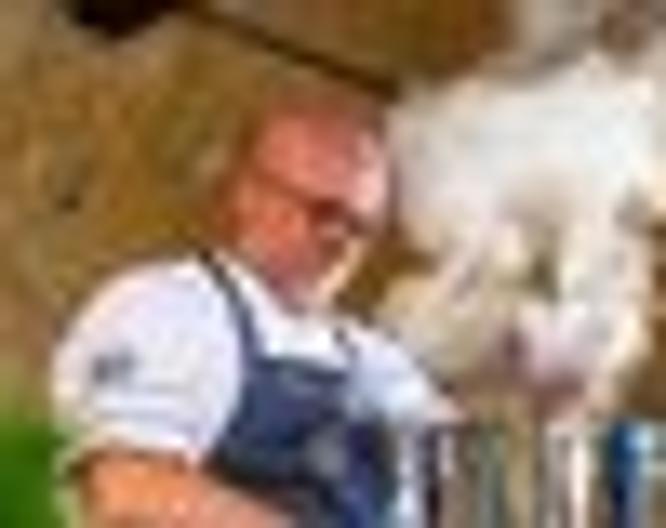 Luna del Raccolto - Sonstiges