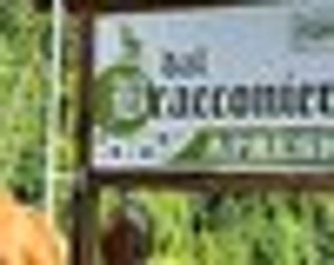 Active Hotel Garni dal Bracconiere - Außenansicht