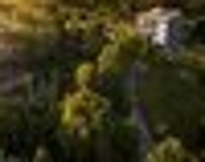 Quinta Dona Adelaide - Außenansicht