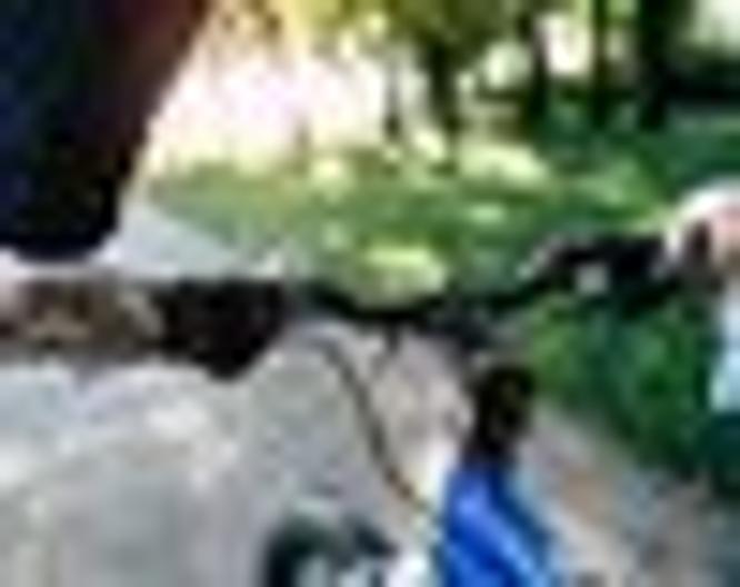 Terrassenhof - Sport