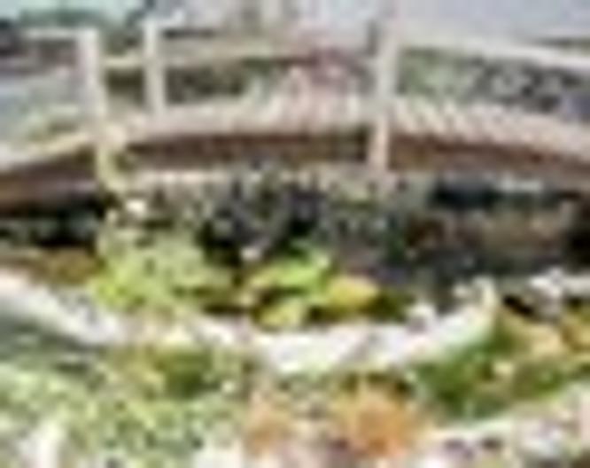 Alpenblick Gasthof & Pension - Sonstiges