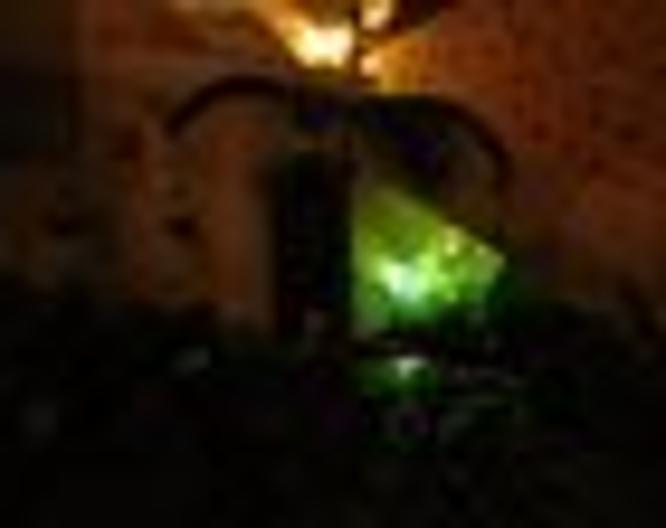Casa Rural Los Helechos - Wellness