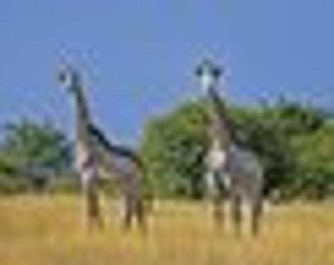 Namibie & Botswana à votre guise - Autre