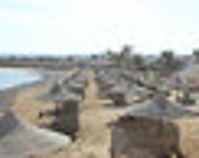 Coral Garden - Strand