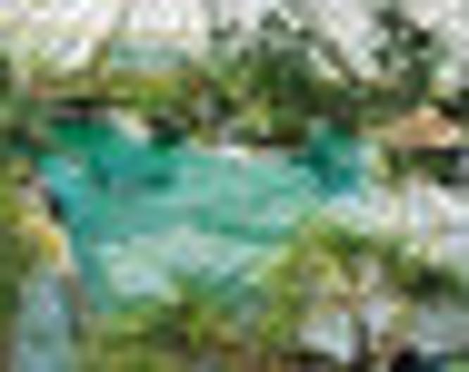 Center Parcs De Eemhof - Pool