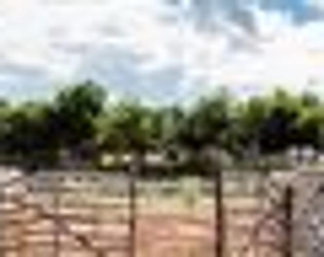 Sant Joan de Binissaida - Sport