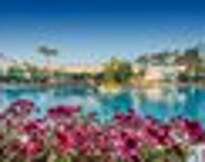 Acacia Marina - Pool