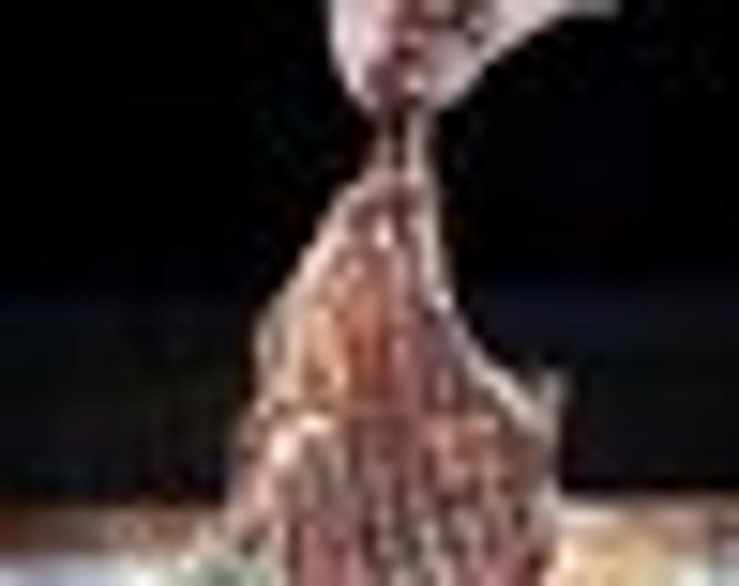 Altira Macau - Sonstiges