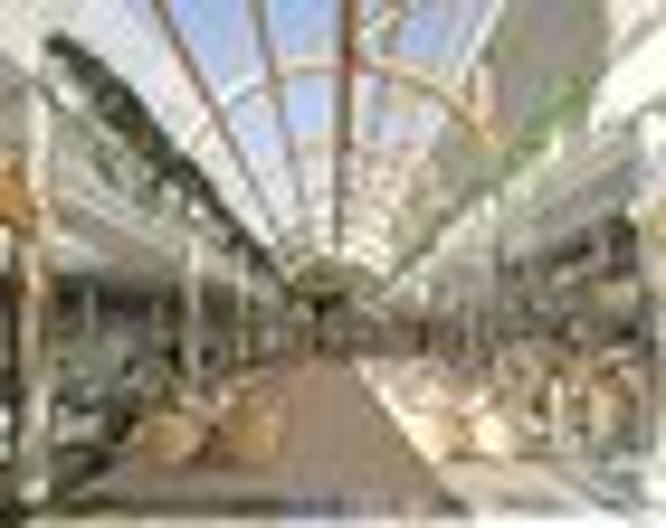 Ona Palmira Paradise - Sonstiges