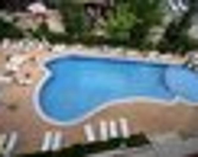 Complex Golden Dreams - Pool