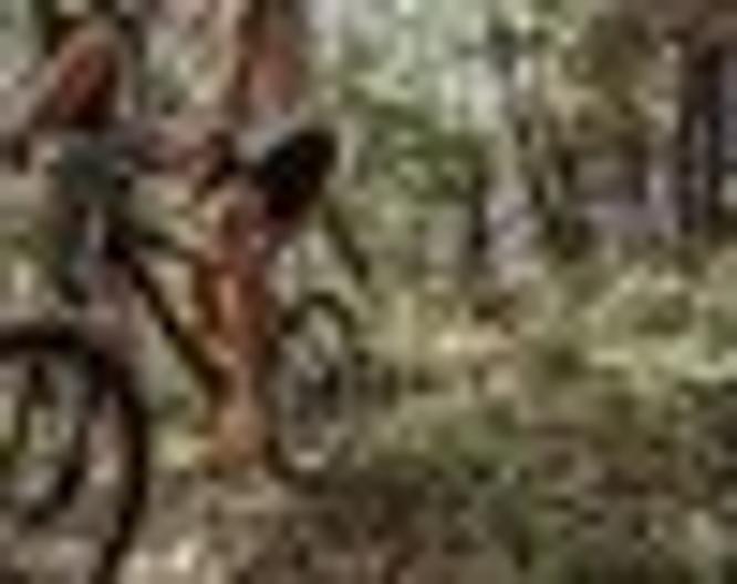 Grand Forest Metsovo - Sport