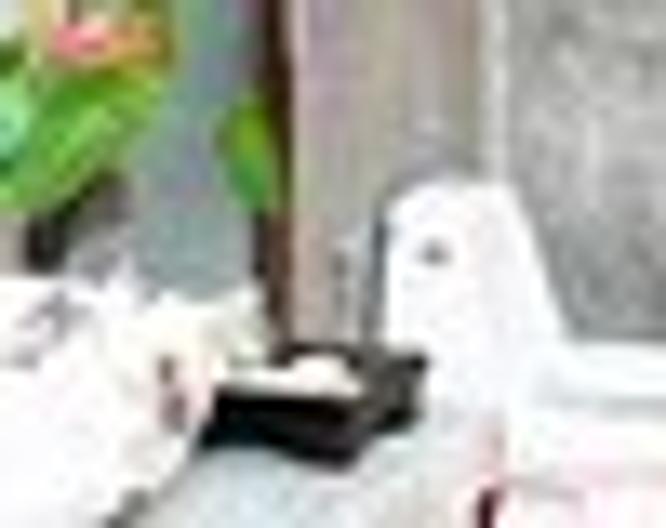 Chaw Ka Cher Tropicana Lanta Resort - Wellness