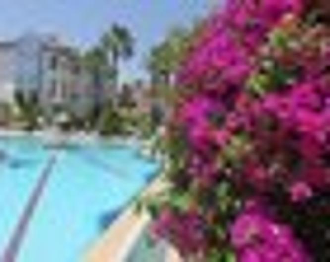 Papaya Apart - Pool