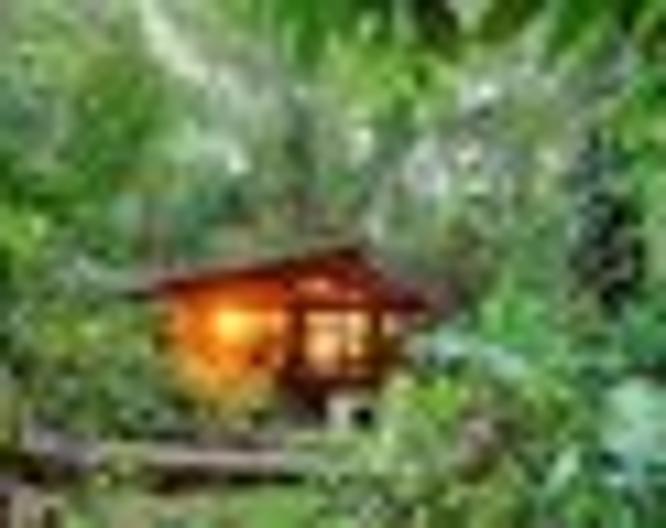 Playa Nicuesa Rainforest Lodge - Außenansicht