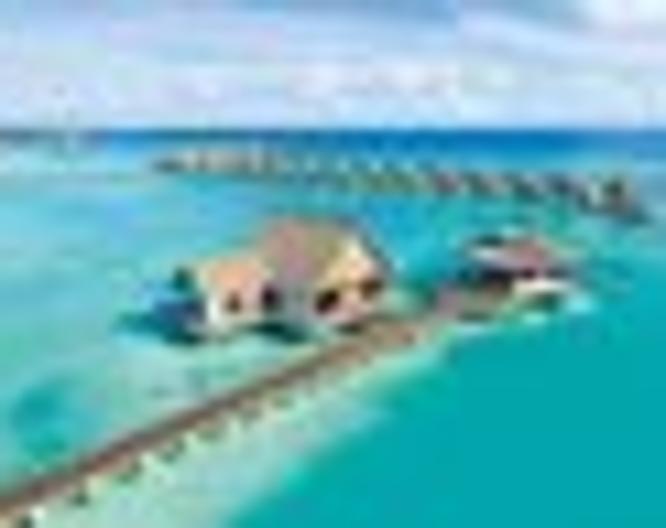 Mercure Maldives Kooddoo Resort - Pool